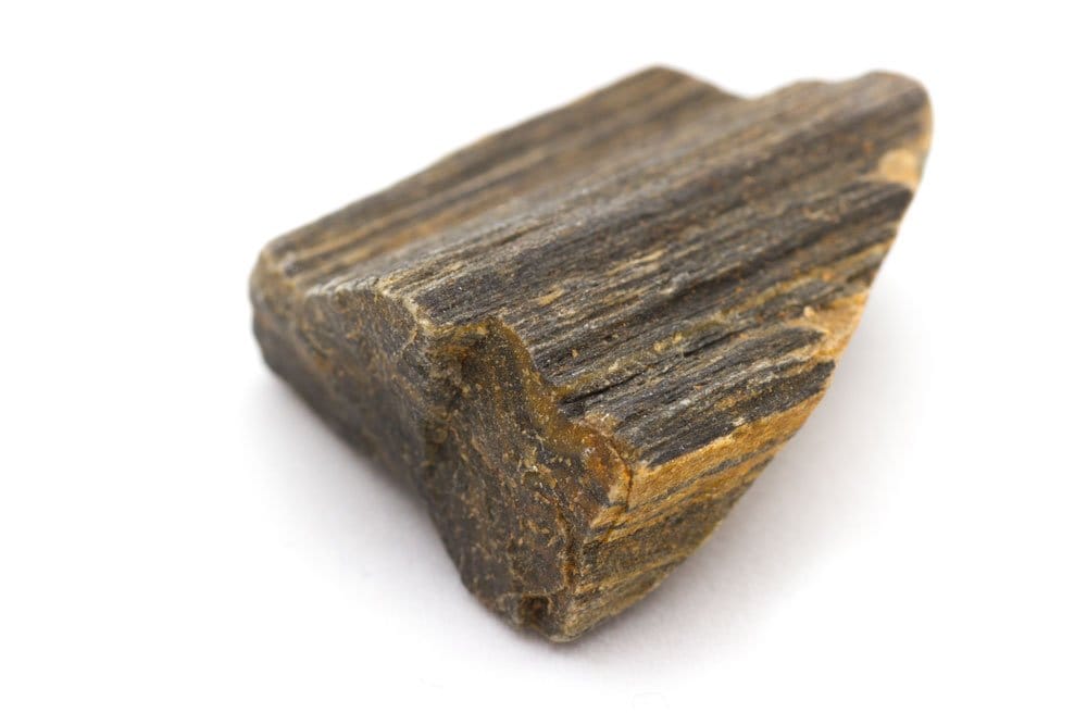 Bois pétrifié poli - vertus d'ancrage, stabilité et connexion aux mémoires ancestrales