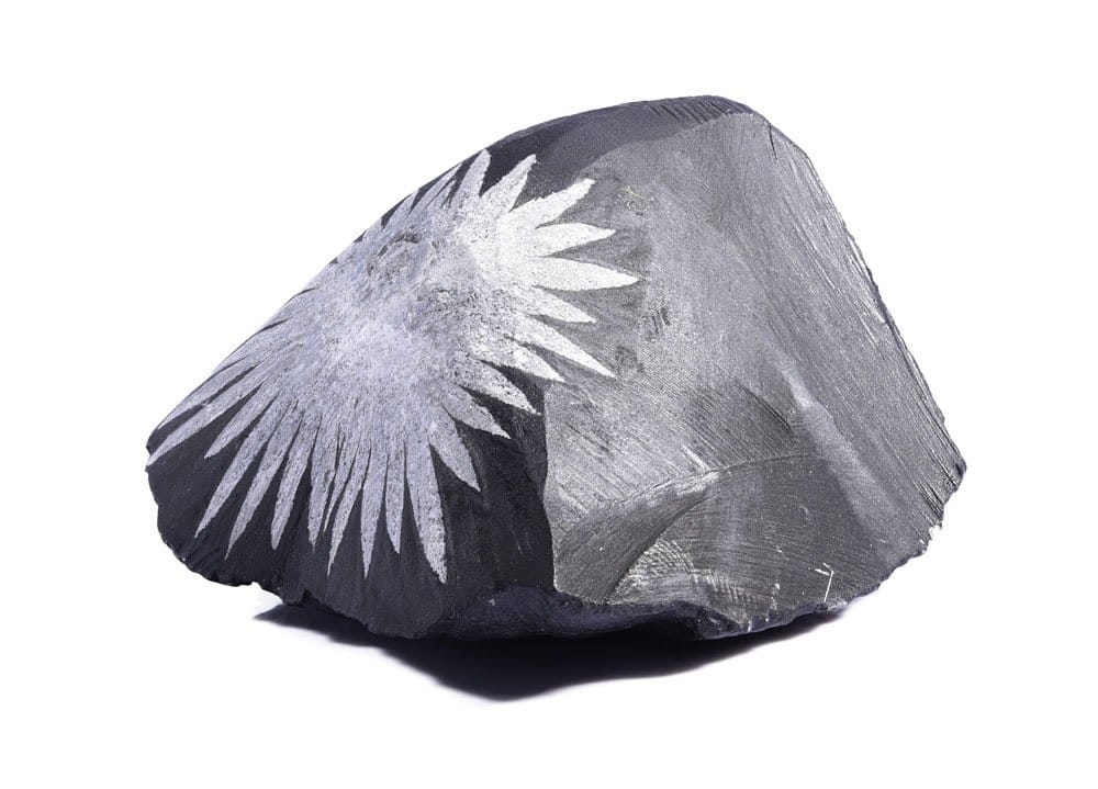 Pierre chrysanthème brute - cristallisations florales de célestite et calcite dans une matrice noire