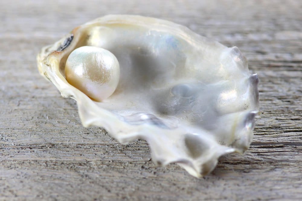 Perle de culture Akoya blanche nacrée ouverte dans une huître - origine et composition de cette gemme organique en aragonite