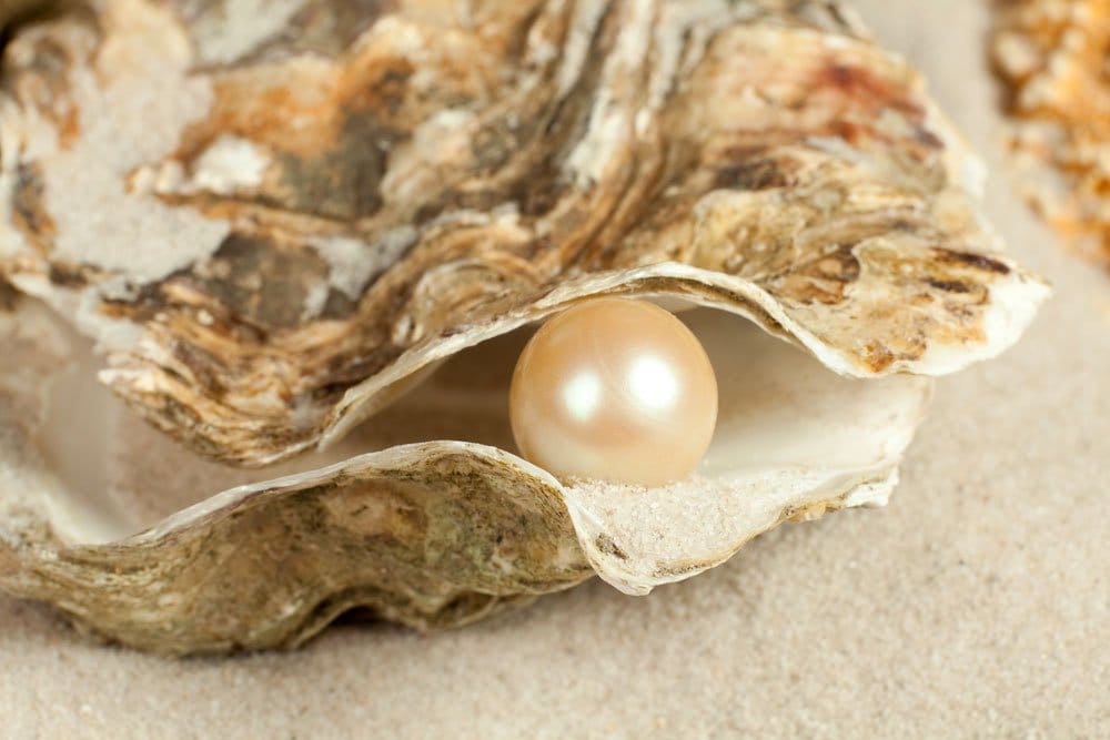 Perle blanche nacrée polie sur coquillage - vertus apaisantes et féminines en lithothérapie pour la douceur et l'équilibre émotionnel