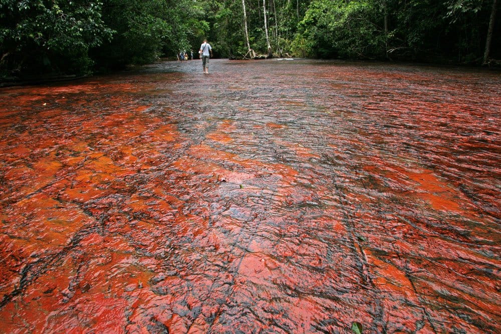 Origine et composition de la pierre jaspe rouge — quartz microcristallin à oxydes de fer
