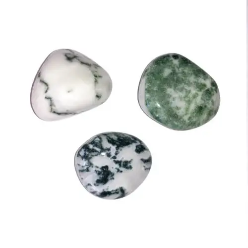 piedra rodada ágata árbol