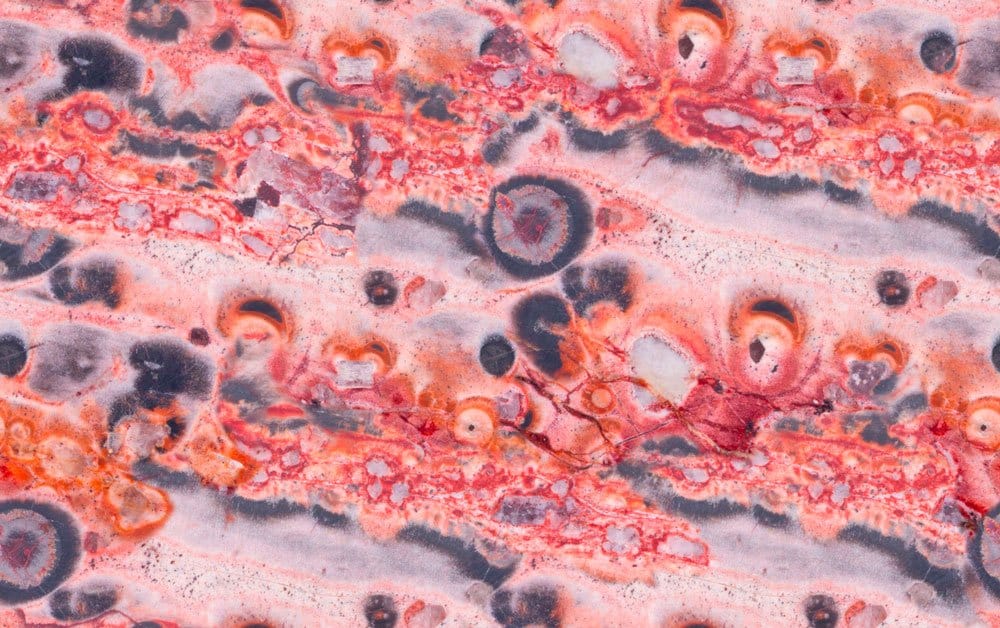 Roche rhyolite gris rosé avec microlites de quartz et feldspath — formation volcanique ancienne exploitée par les Romains pour les meules