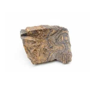 pierre stromatolite