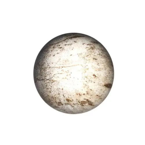 sphere bois fossilise 40mm