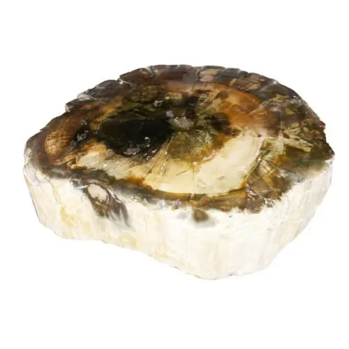 bois-fossilise-mcbf03