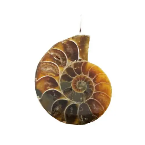 pendentif-ammonite-pierre-brute