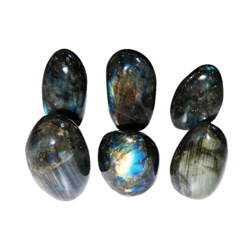 labradorite polie taille xs