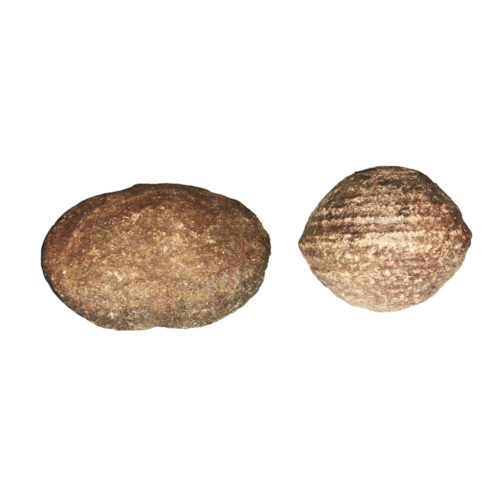 paire moquis marbles