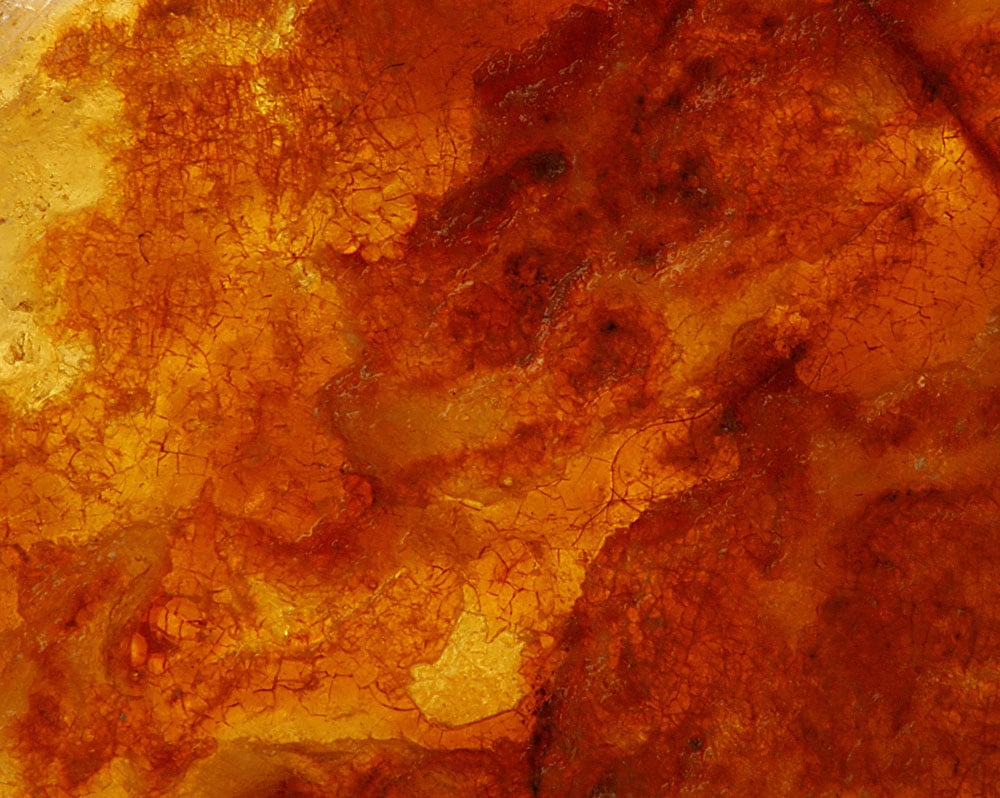 Succin (ambre jaune) — histoire depuis la Préhistoire et la Route de l'ambre antique