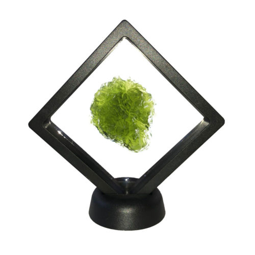 Vue 4