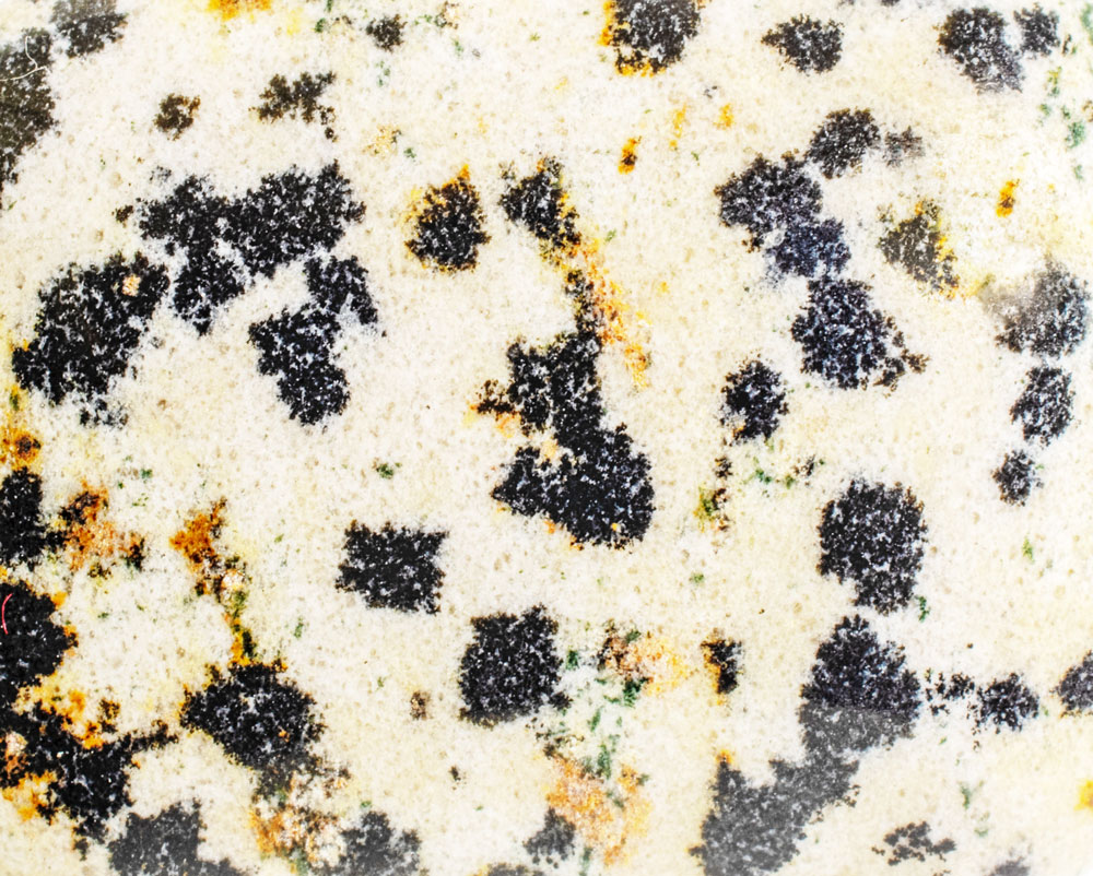Pierre jaspe dalmatien polie montrant ses taches noires caractéristiques sur fond blanc crème