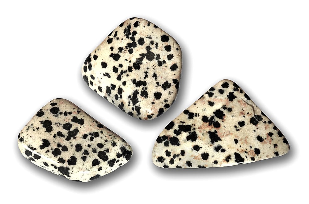 Jaspe dalmatien utilisé en lithothérapie — pierre d'ancrage et de joie de vivre