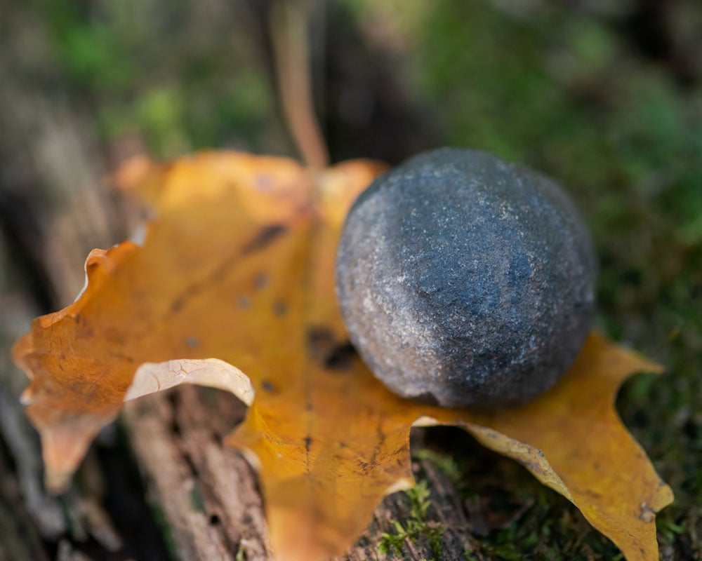 Moquis balls paire masculine féminine - origine Utah plateau du Colorado, concrétions de grès et fer