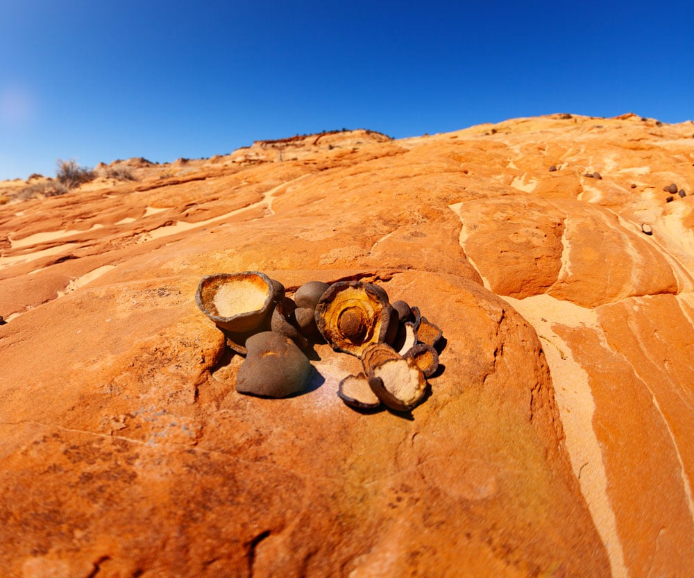 Moquis marbles concrétions sphériques - histoire Hopi shaman stones analogues blueberries Mars NASA