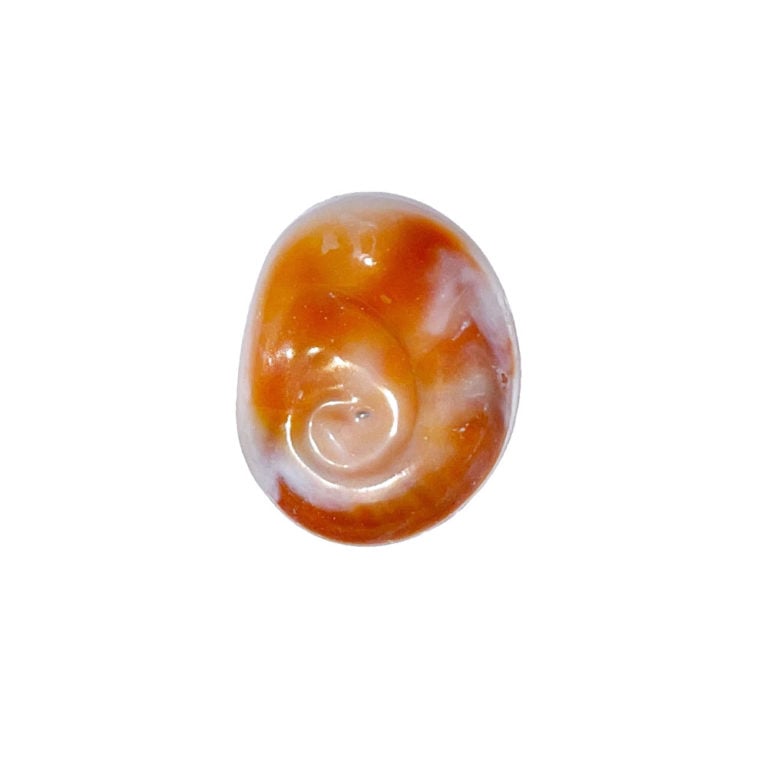 Oeil de Sainte Lucie