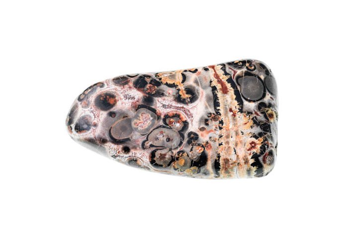 pierre jaspe léopard