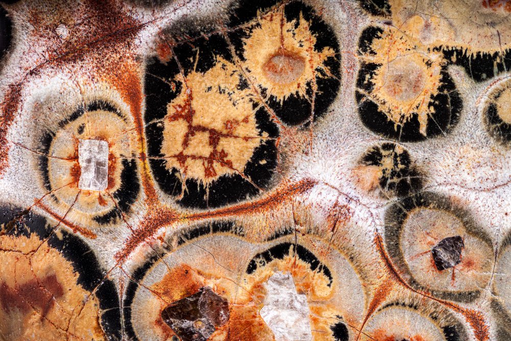 Histoire et découverte du jaspe orbiculaire, pierre rare de Madagascar aux motifs orbiculaires