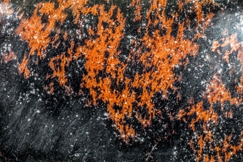 Pierre obsidienne acajou brute - taches mahogany sur noir volcanique, histoire aztèque et tradition romaine