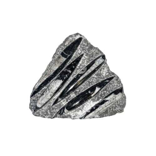 Vue 3