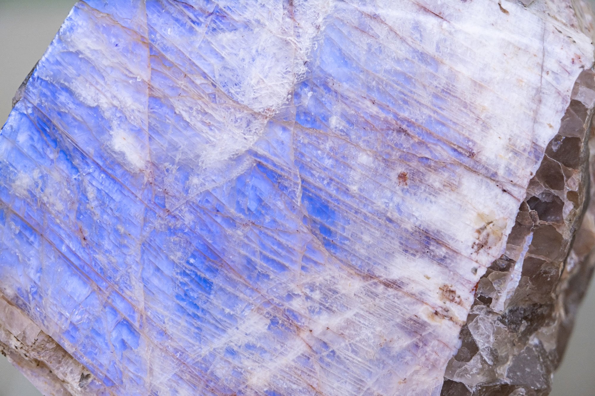 Pierre de lune bleue brute montrant son adularescence bleue argentée — feldspath orthose/albite du Sri Lanka