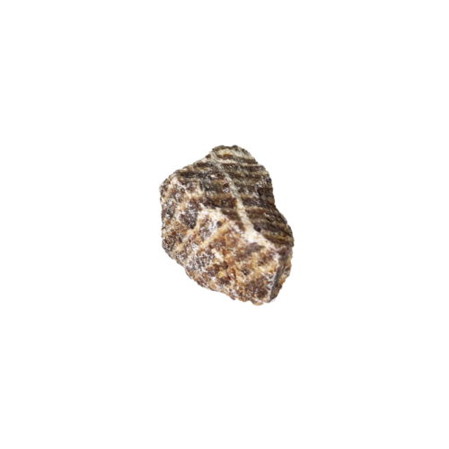 pierre-brute-aragonite-marron
