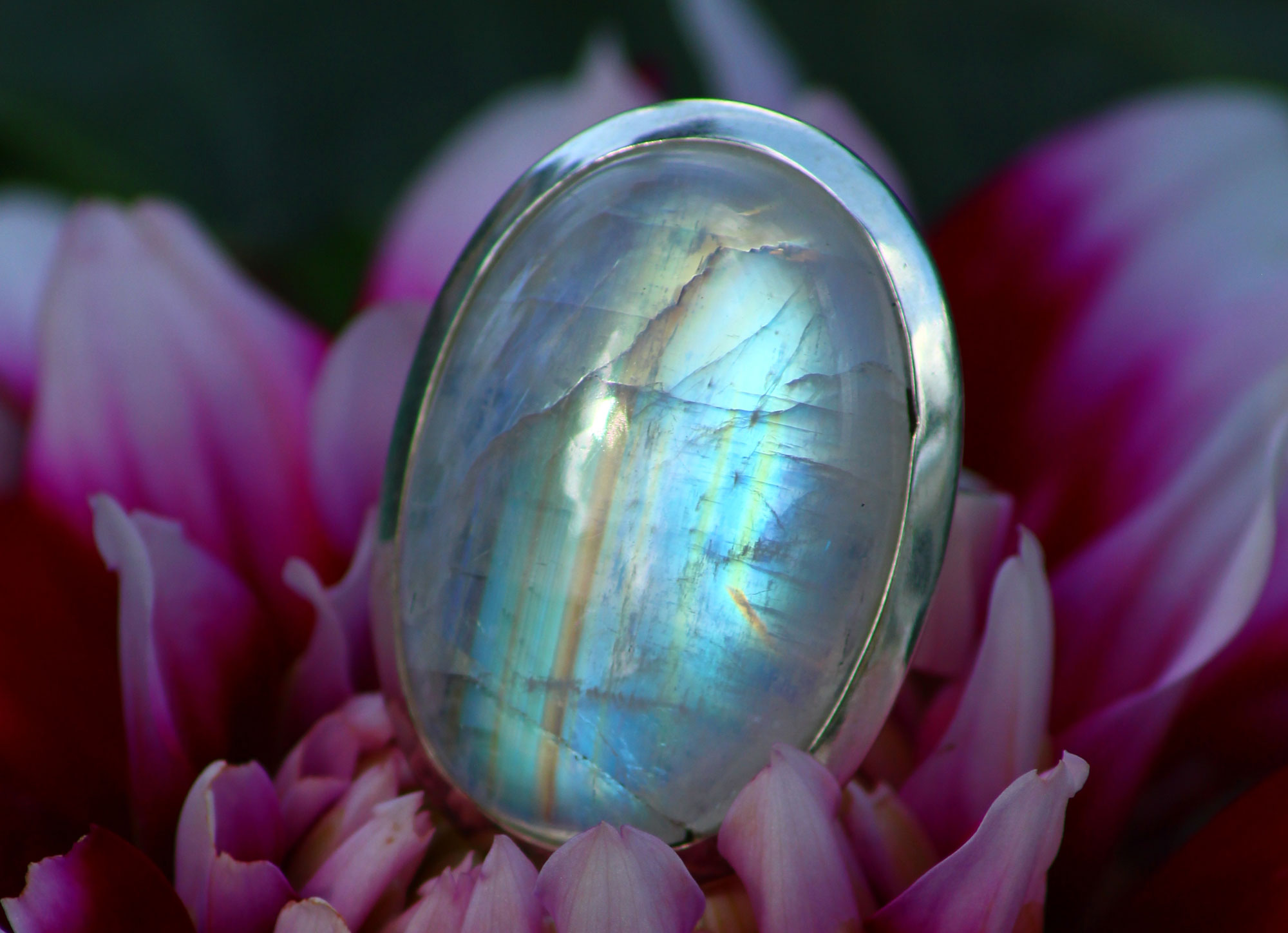 Coloriage Bonne Fête Des Mères Avec Ours - Télécharger Et Imprimer