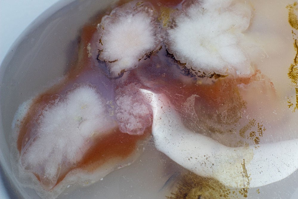 Agate dendritique blanche polie - propriétés d'équilibre, stabilité et reconnexion à la nature