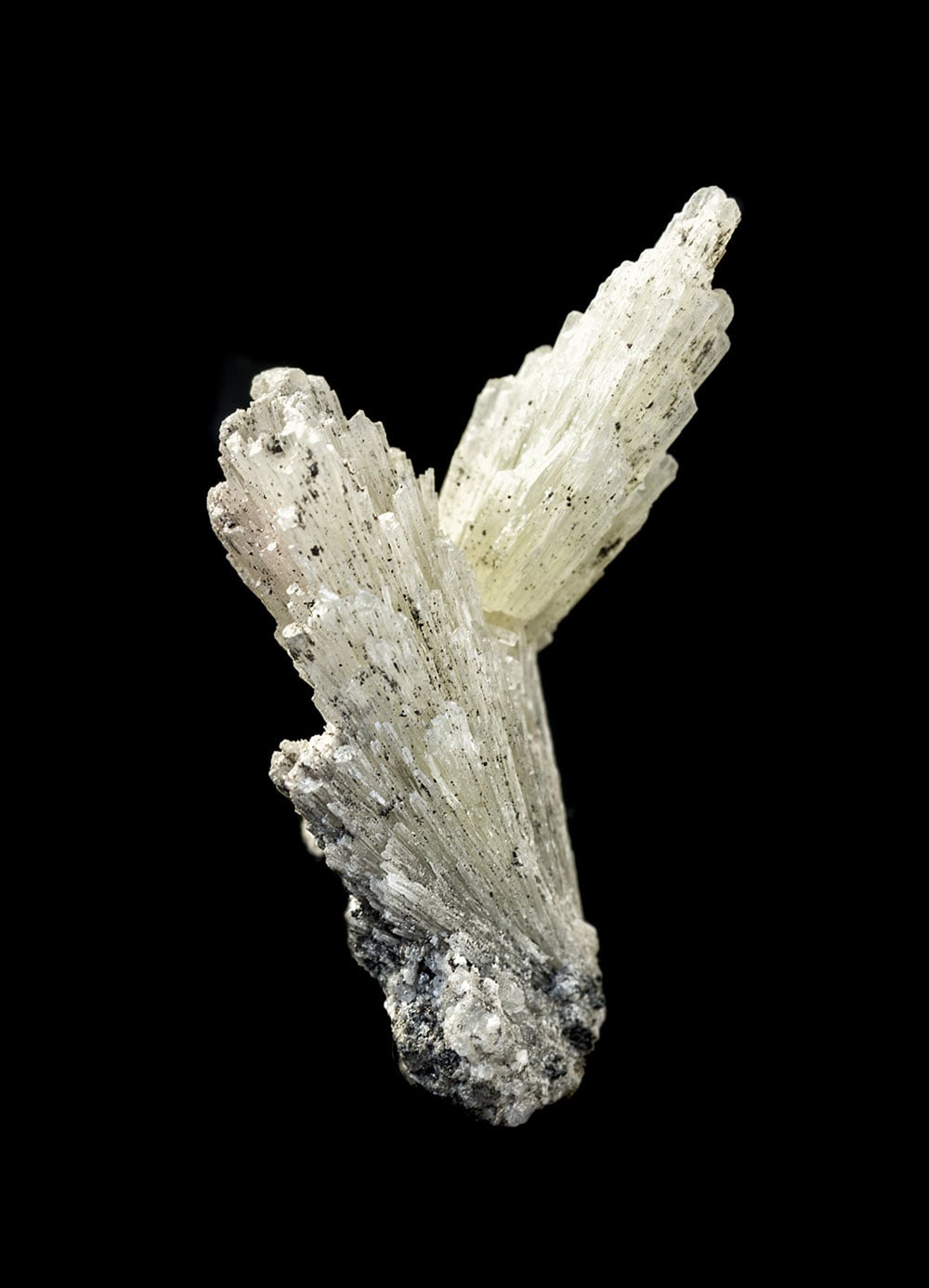 Strontianite cristallisée blanc pâle - formation carbonate, composition chimique SrCO3, densité 3.7