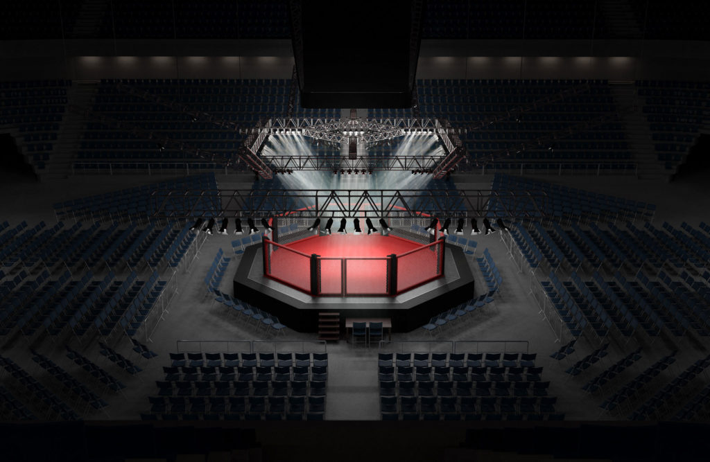 octogone-origine-mma