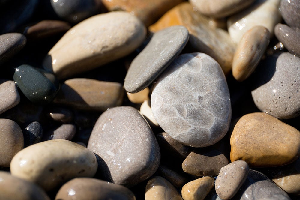 Petoskey Stone fossile corail hexagonal - histoire Michigan chef indien Pet-O-Sega