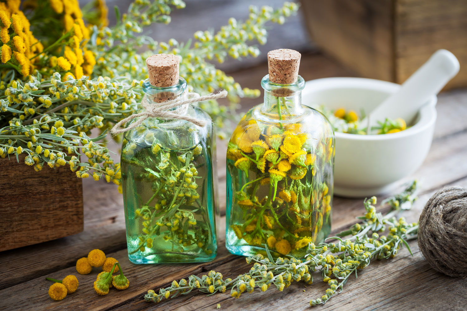 Absinthe propri t s bienfaits et applications en phytoth rapie