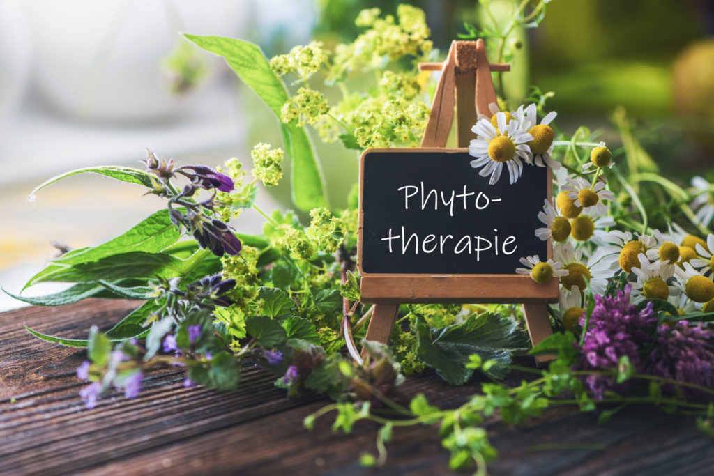 phytotherapie-01