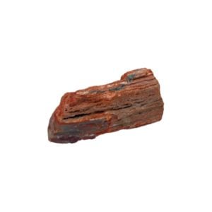 pierre-agate-xyloide