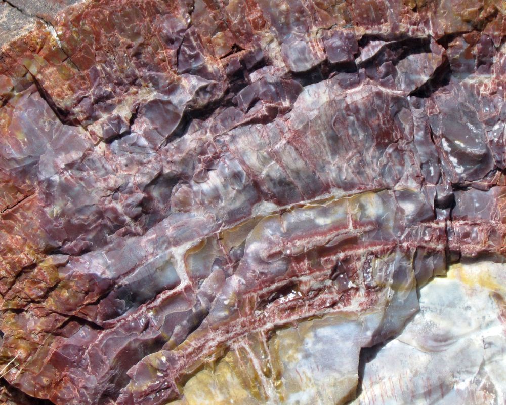 Agate xyloïde – Propriétés lithothérapeutiques – Ancrage et stabilité