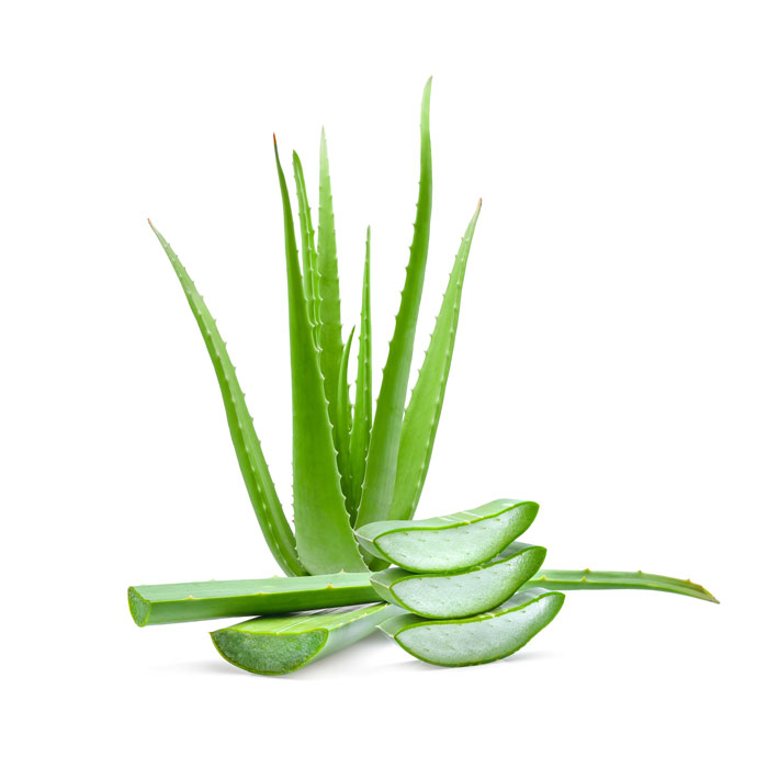 aloe-vera