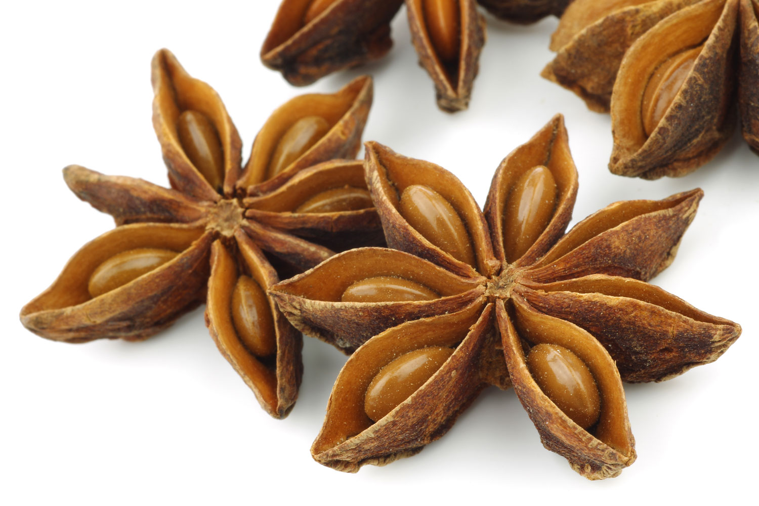 badiane-caracteristiques