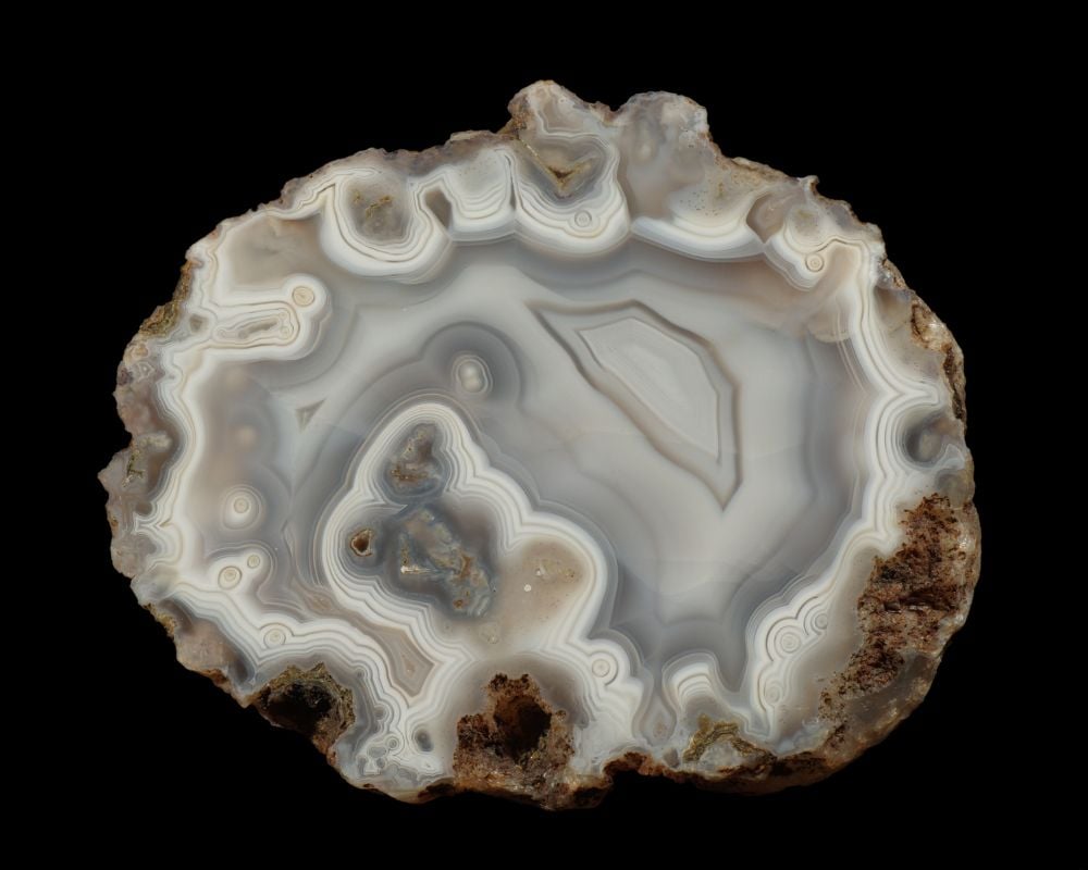 Agate fossile du Wyoming avec fossiles préhistoriques visibles - origine et composition silicifiée