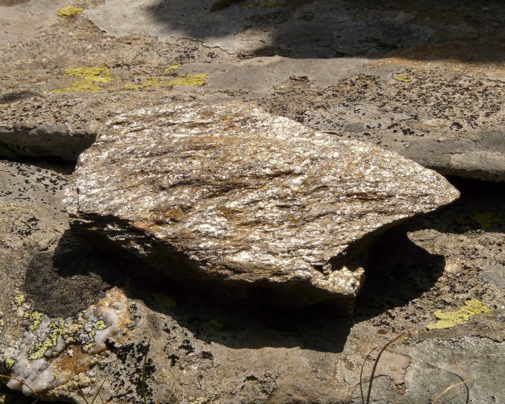 Annite naturelle - origine et composition du mica noir