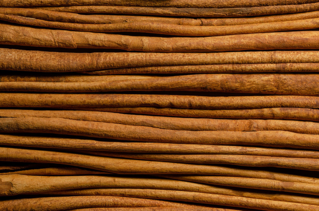 cannelier-de-ceylan-phytotherapie