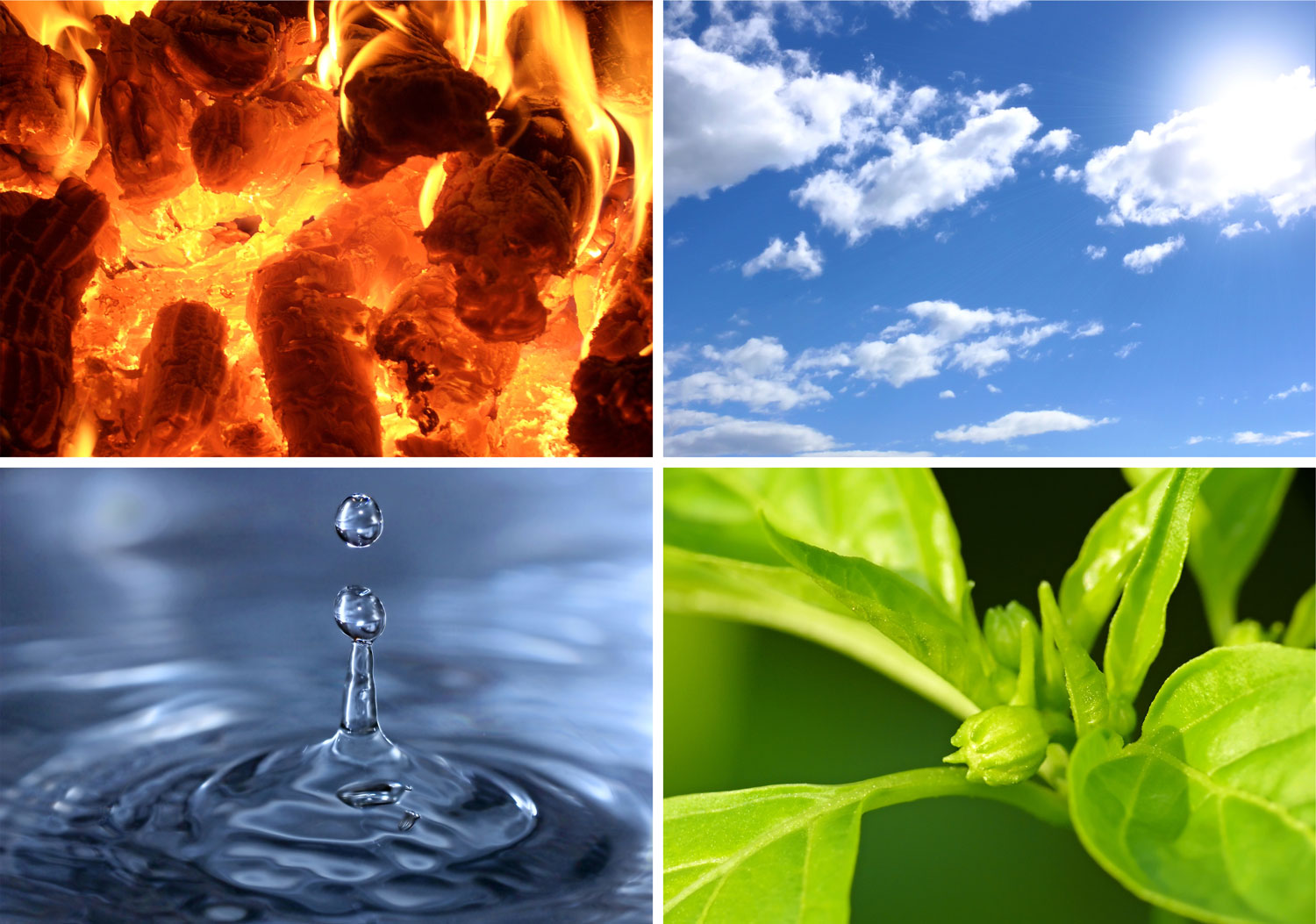 4-elements-feu-terre-air-eau