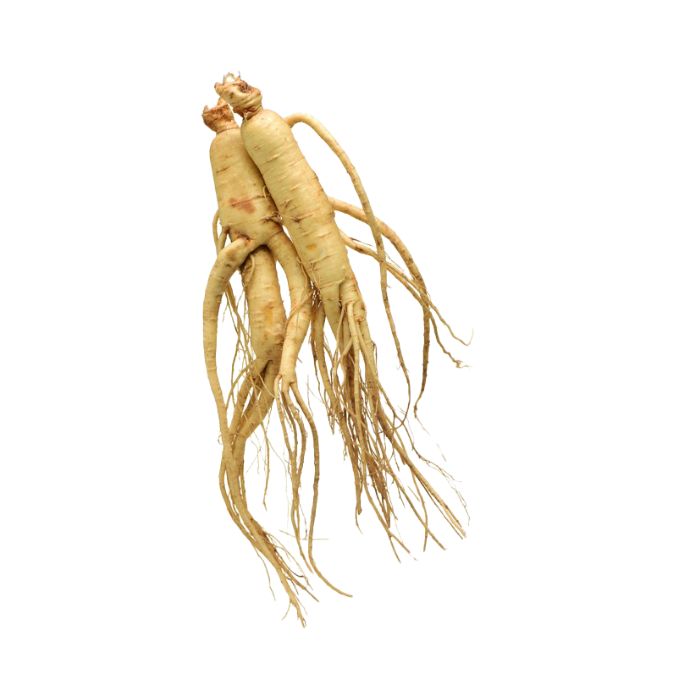 ginseng-americain