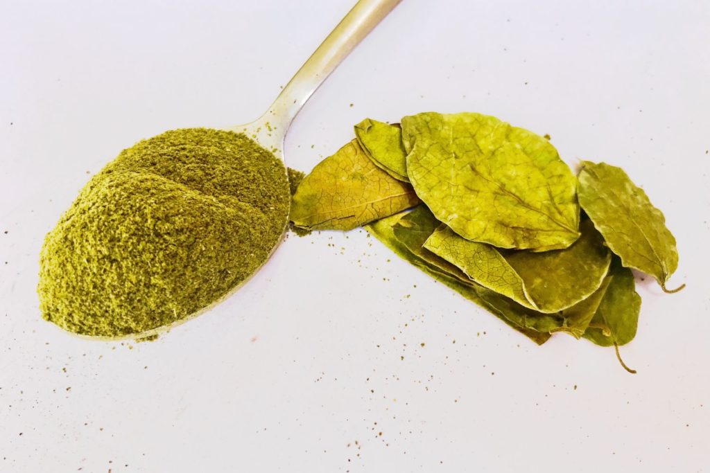 gymnema-utilisations