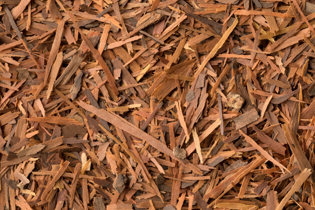 lapacho-phytotherapie