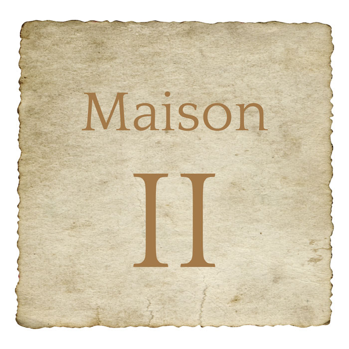 Maisons Astrologiques Significations