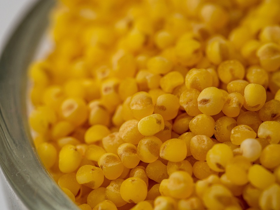 aliment farine de millet descriptif