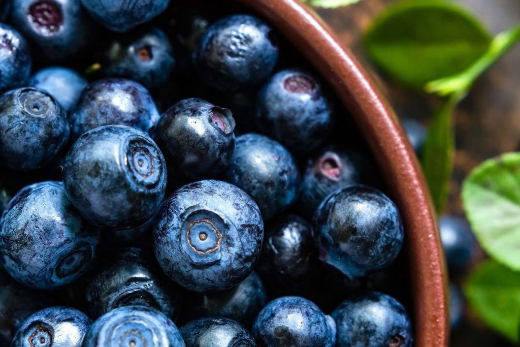 myrtille-commune-utilisations