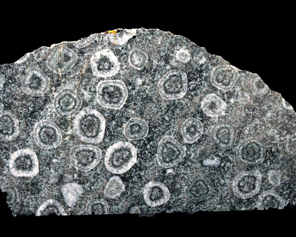 Diorite orbiculaire — gisements historiques de Finlande et ses orbicules concentriques témoignant de millions d'années de cristallisation rhythmique