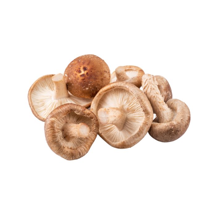 shiitake