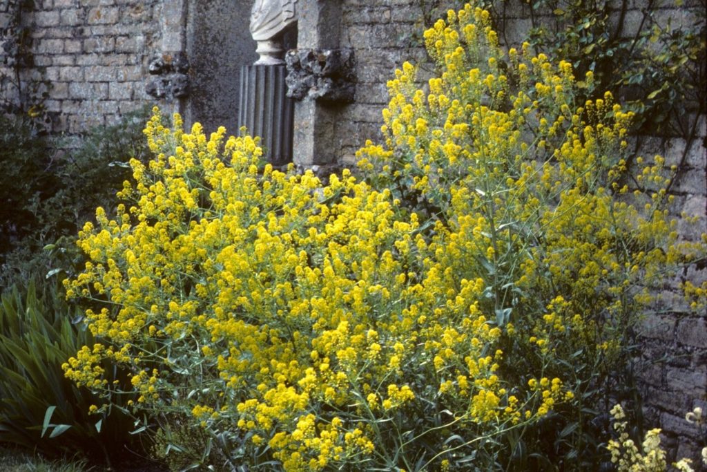 la-guede-utilisations